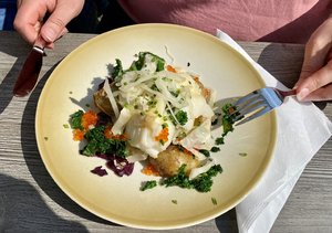 IMG_7341.jpeg