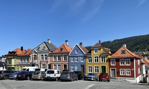 IMG_7380.jpeg