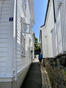 IMG_7403.jpeg