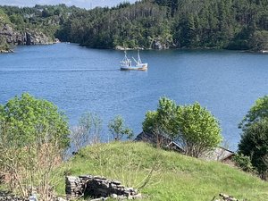 IMG_4457.jpeg