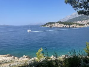 IMG_7502.jpeg