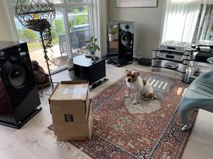 IMG_4624.jpeg