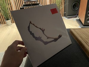 IMG_7550.jpeg