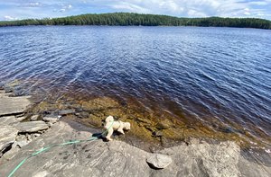 IMG_8203.jpeg