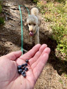 IMG_8235.jpeg