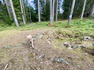 IMG_8255.jpeg