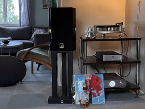 IMG_1446.jpeg