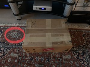 IMG_2638.jpeg