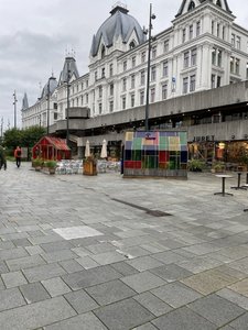 IMG_3921.jpeg