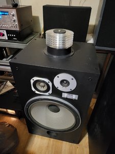 IMG_3981.jpeg
