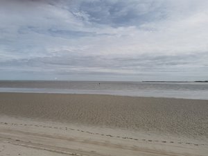 IMG_20230810_102417.jpg