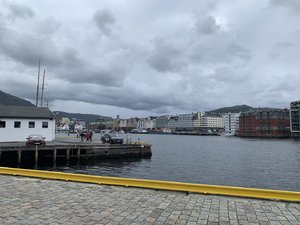 IMG_4782.jpeg