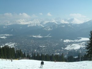 Zakopane Open 2008.jpg