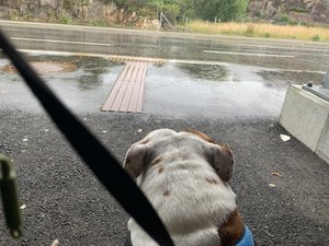 IMG_4794.jpeg