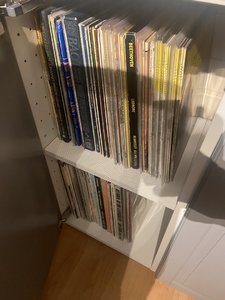 IMG_1166.jpeg