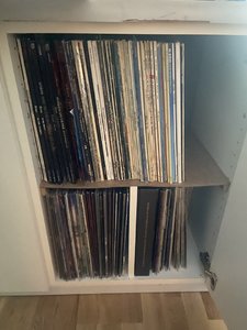 IMG_1167.jpeg