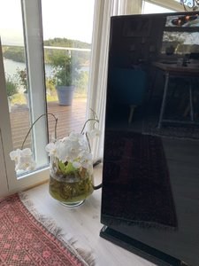 IMG_4802.jpeg