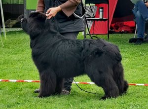 IMG_20230826_173037.jpg