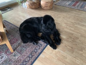 IMG_4879.jpeg