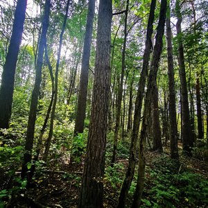 IMG_20230906_205229.jpg