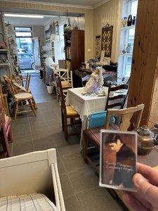 IMG_4701.jpeg