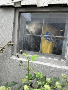 IMG_4709.jpeg