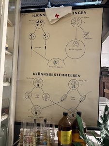 IMG_4788.jpeg