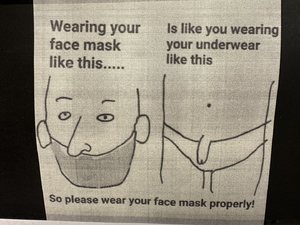 IMG_4791.jpeg