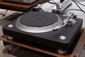 dp3000ne.jpg