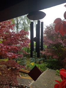 20231002_091425.jpg