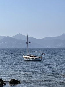 BA696B82-3855-47DF-8306-D837C7DDCFD6.jpeg