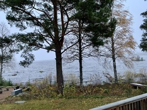 IMG_0250.jpeg