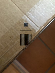IMG_5387.jpeg