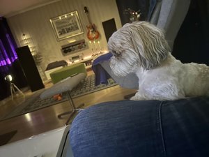 IMG_5410.jpeg
