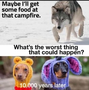 IMG_4508.jpeg