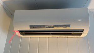 IMG_8089.jpeg