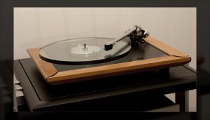 rega2.jpg