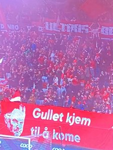 gullet.jpg