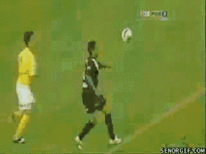 IMG_5568.gif