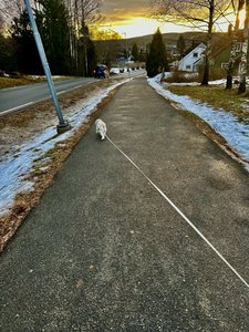 IMG_5678.jpeg