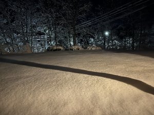 DD324E6C-4A83-47BD-84CA-29F91A1BB56E.jpeg