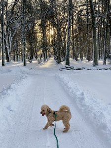 IMG_3219.jpeg