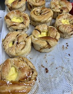 IMG_6720.jpeg