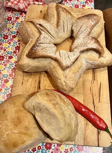 IMG_6722.jpeg