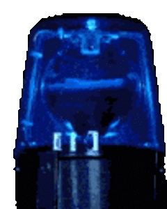 IMG_5808.gif