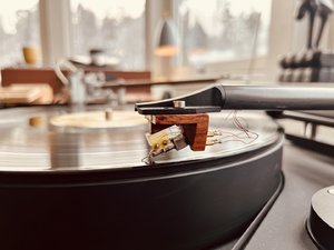 IMG_2135.jpeg