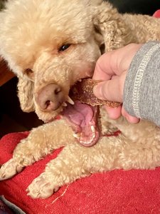 IMG_3734.jpeg