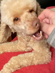 IMG_3744.jpeg