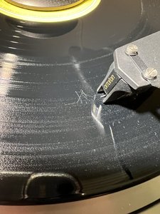 IMG_1406.jpeg