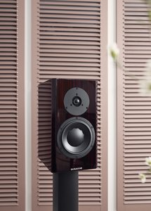 dynaudio special forty_black vine.jpg